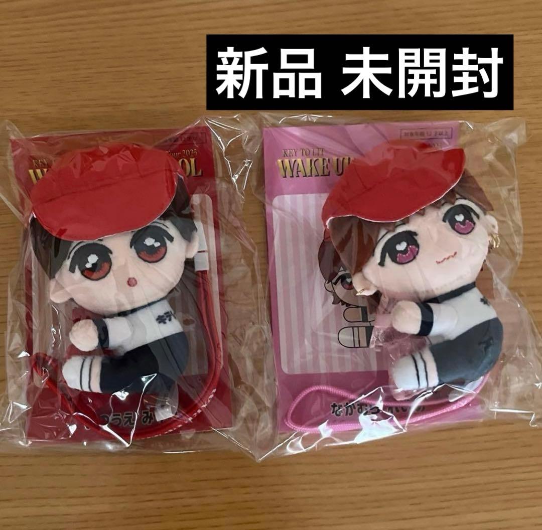 くっつキテレツ 井上瑞稀 中村嶺亜 KEY TO LIT キテレツ グッズ ぬい