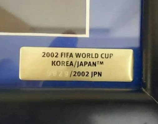 サッカー日韓ワールドカップ★ピンバッジセット★新品未使用