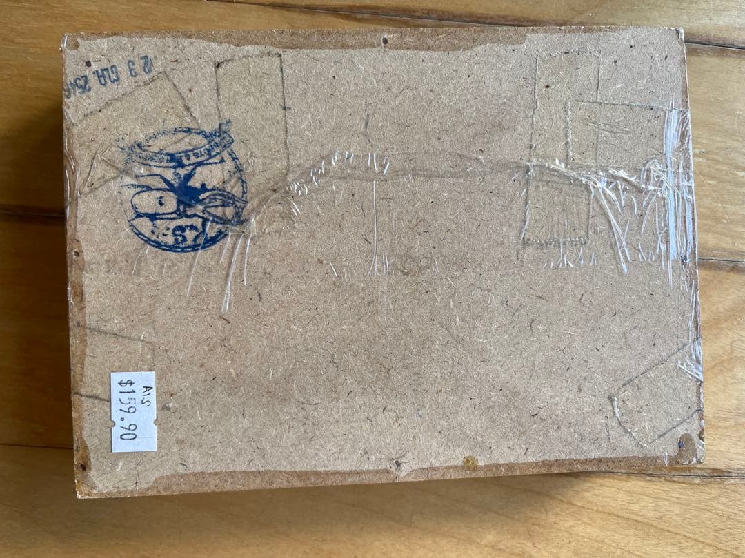 Palamnaeus スコーピオン 乾燥標本