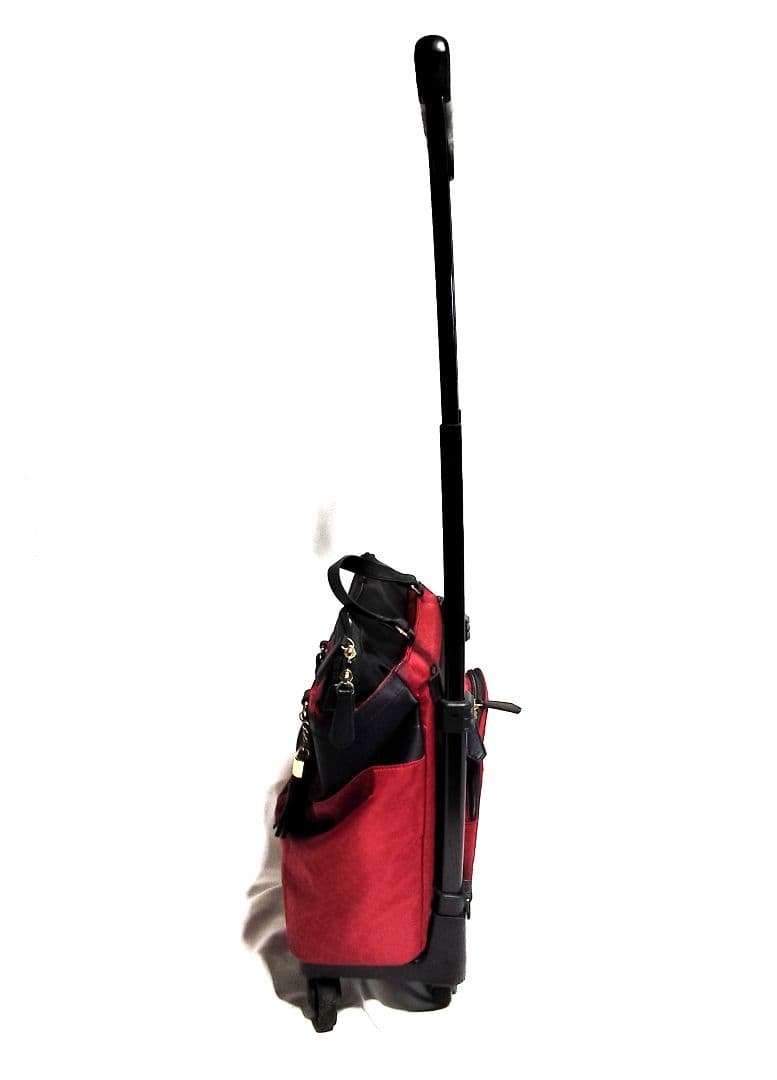 SWANY　スワニー　キャリーカートバッグ 中古品