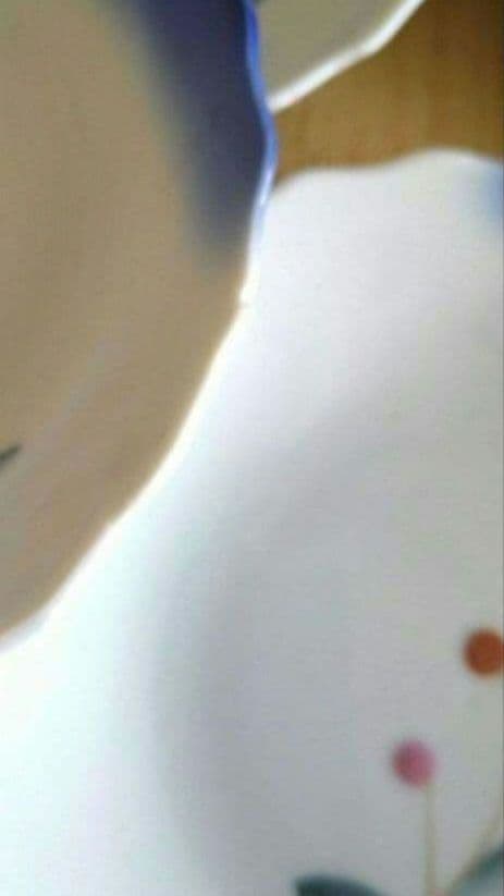 明治　大正　昭和レトロ　時代物　骨董品　伊万里　花縁取り小皿　ヤブコウジ　14枚