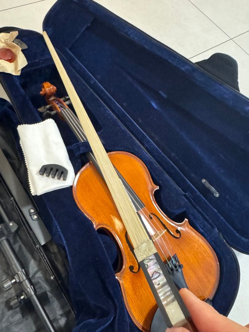 Gliga Gliga Gems Violin SET バイオリン本体とその他