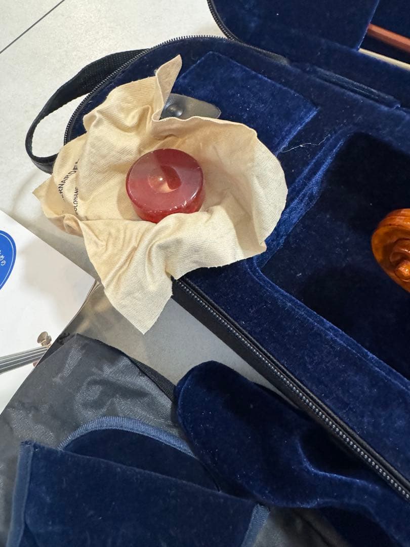 Gliga Gliga Gems Violin SET バイオリン本体とその他