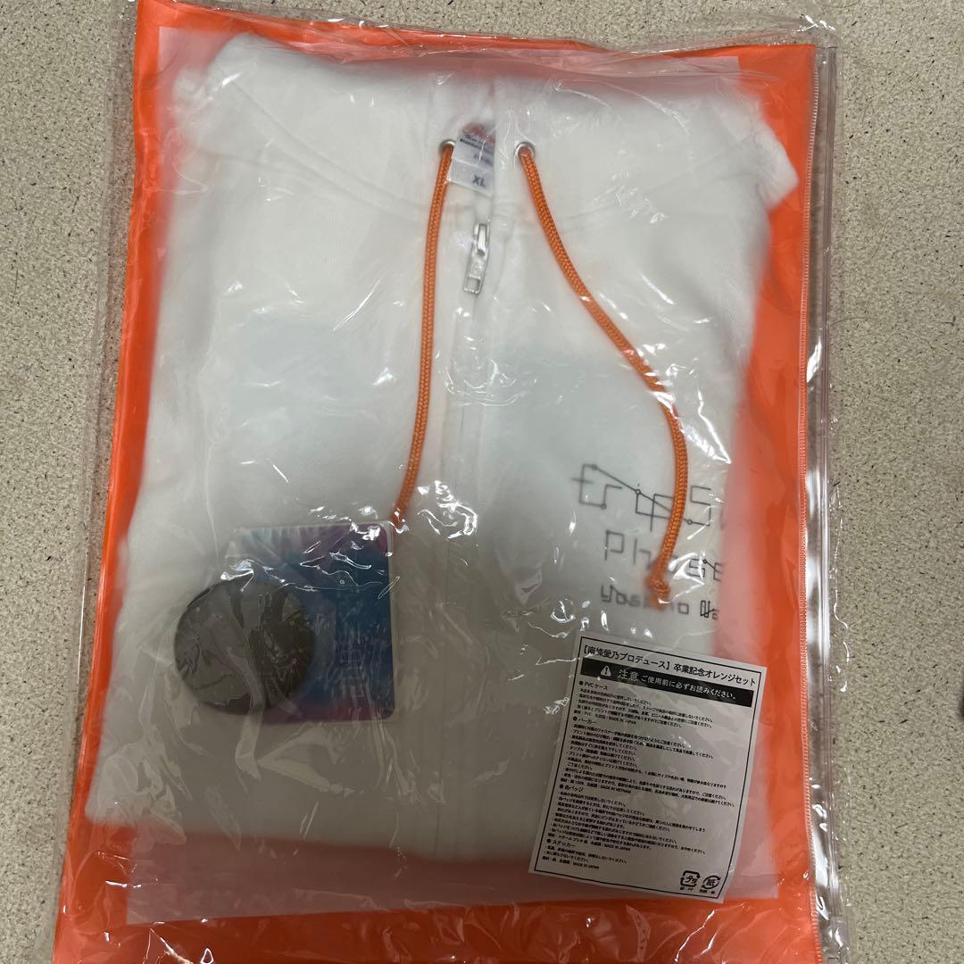 fripSide 南條愛乃 オレンジ&シルバーセット