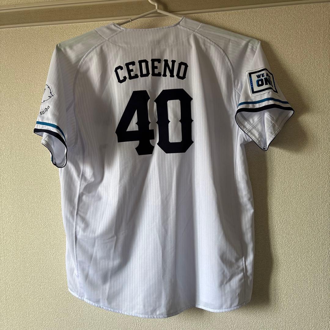 西武ライオンズ レアンドロ•セデーニョ選手#40ユニフォームL