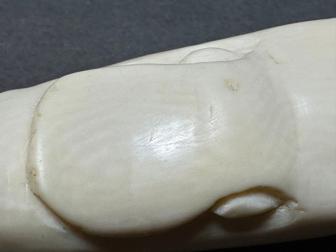 極上　ワニ　天然素材　置物　飾り物　古美術品　 置物　細密細工　骨董　ア魔除け