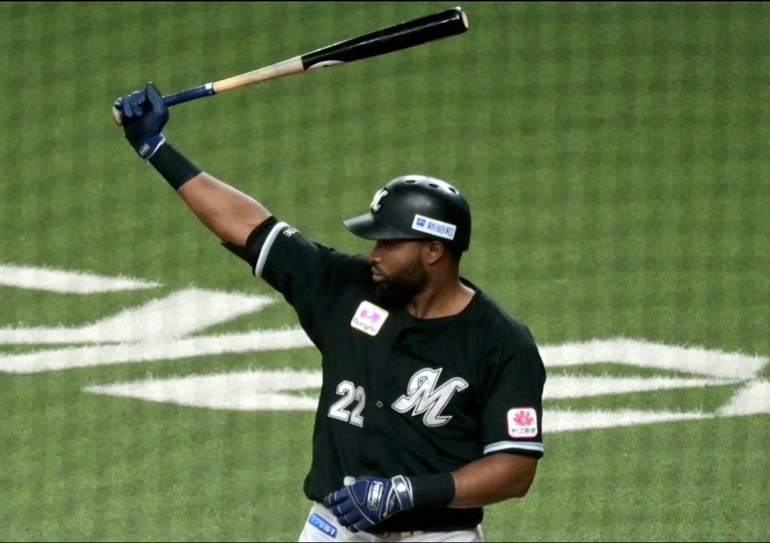 千葉ロッテマリーンズ　ポランコ選手実使用バット