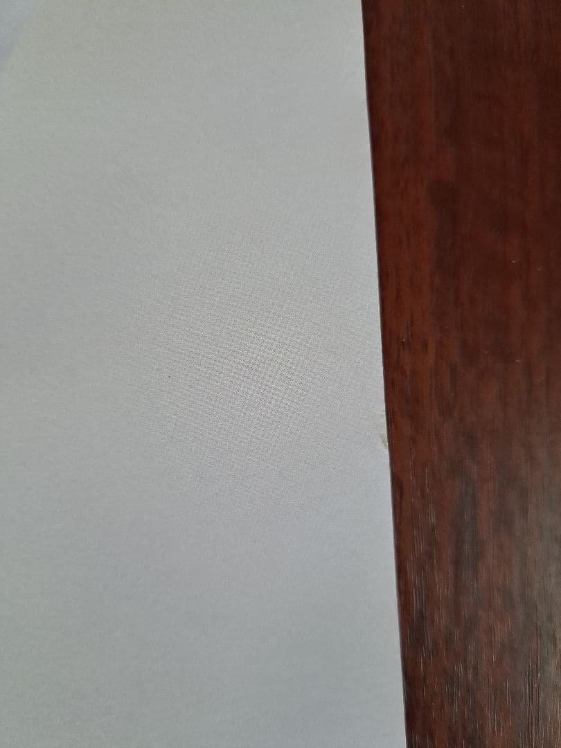 【超貴重/当時物/人気】西野カナ「Girls」★ポスター