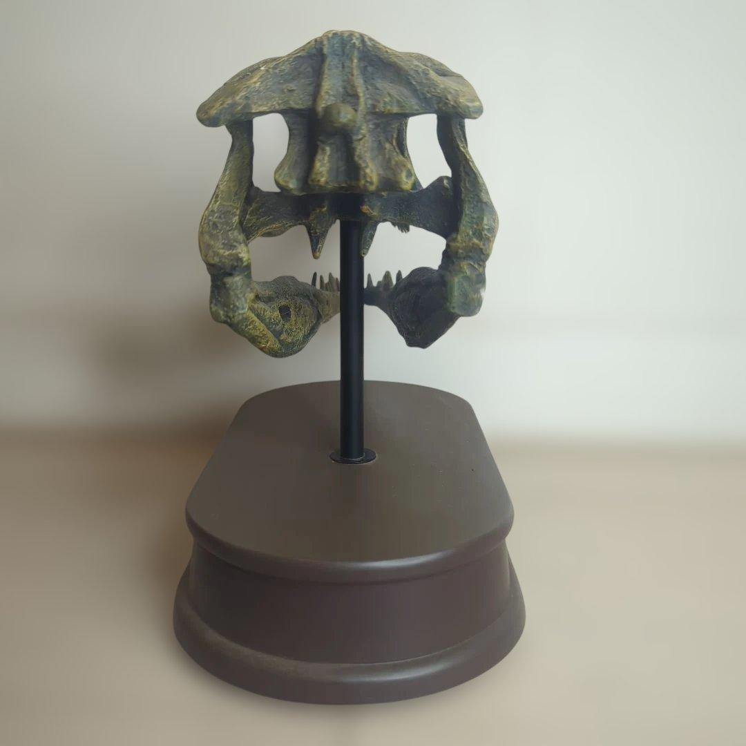 FAVORITE フェバリット ヴェロキラプトル スカル&ジョーズ 1/1