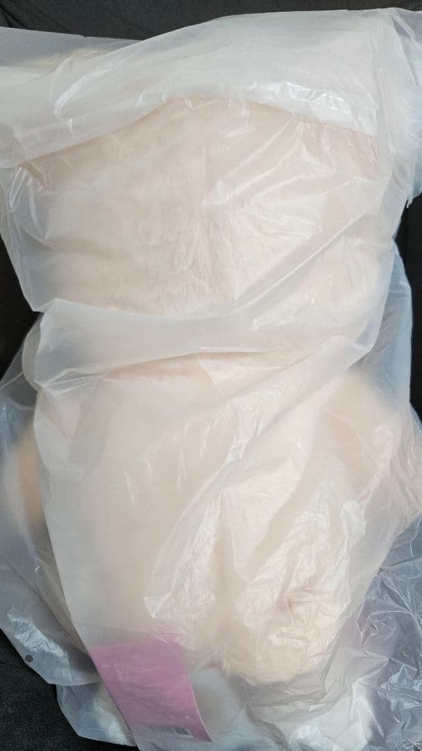 テディベア ぬいぐるみ teddybear SKZOO パピム PuppyM