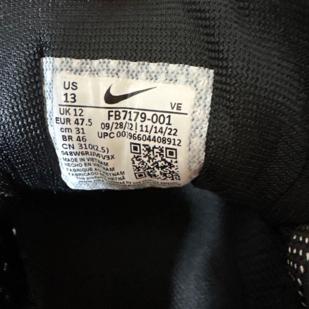 大きいサイズ　試着のみ　Nike Pegasus 40ブラックus13 31cm