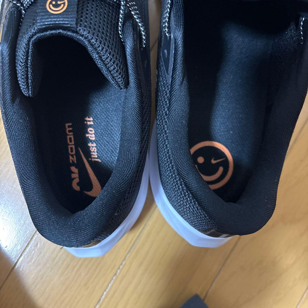 大きいサイズ　試着のみ　Nike Pegasus 40ブラックus13 31cm