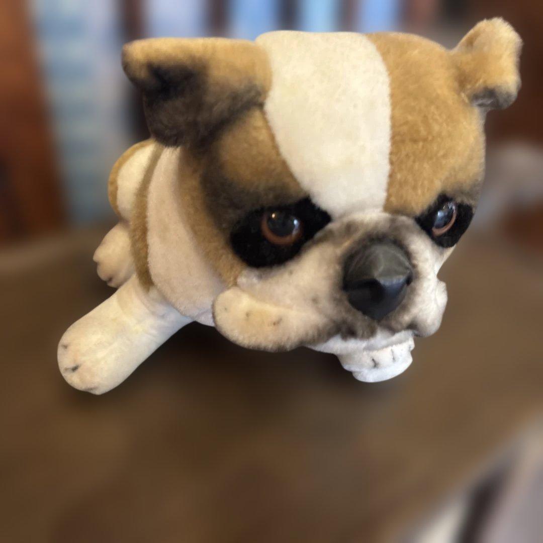 シュタイフ ブルドッグ　Snobby