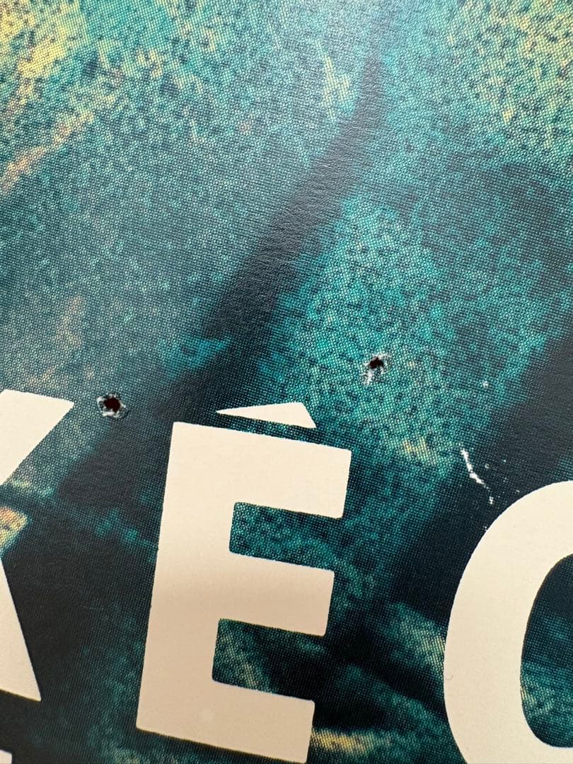 浅野忠信/TAKEO KIKUCHI 大判ポスター 激レア