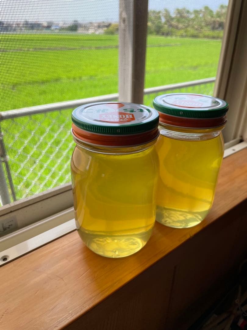 天然100%絞り立て生はちみつ　620g✖️2