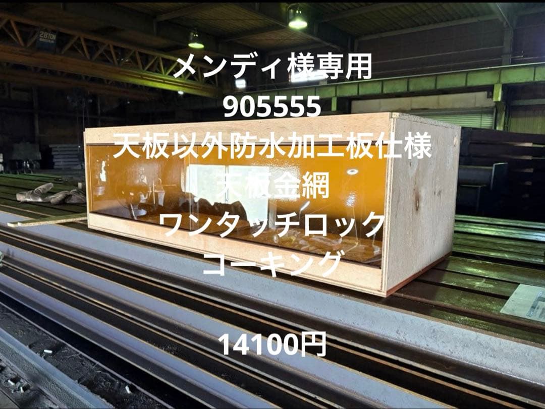 メンディ　905555