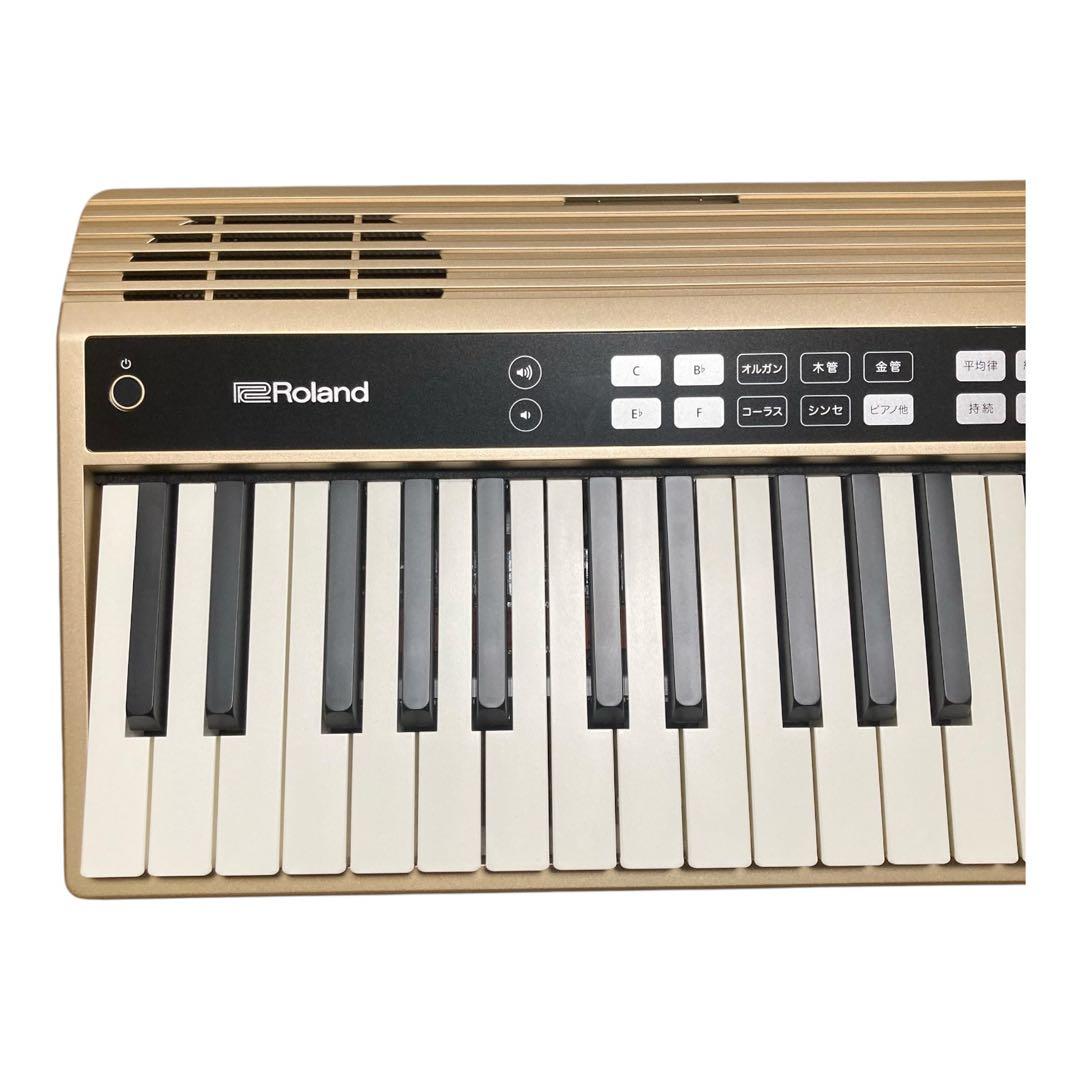 Roland JUSTY HK-100 付属品完備 美品 キーボード