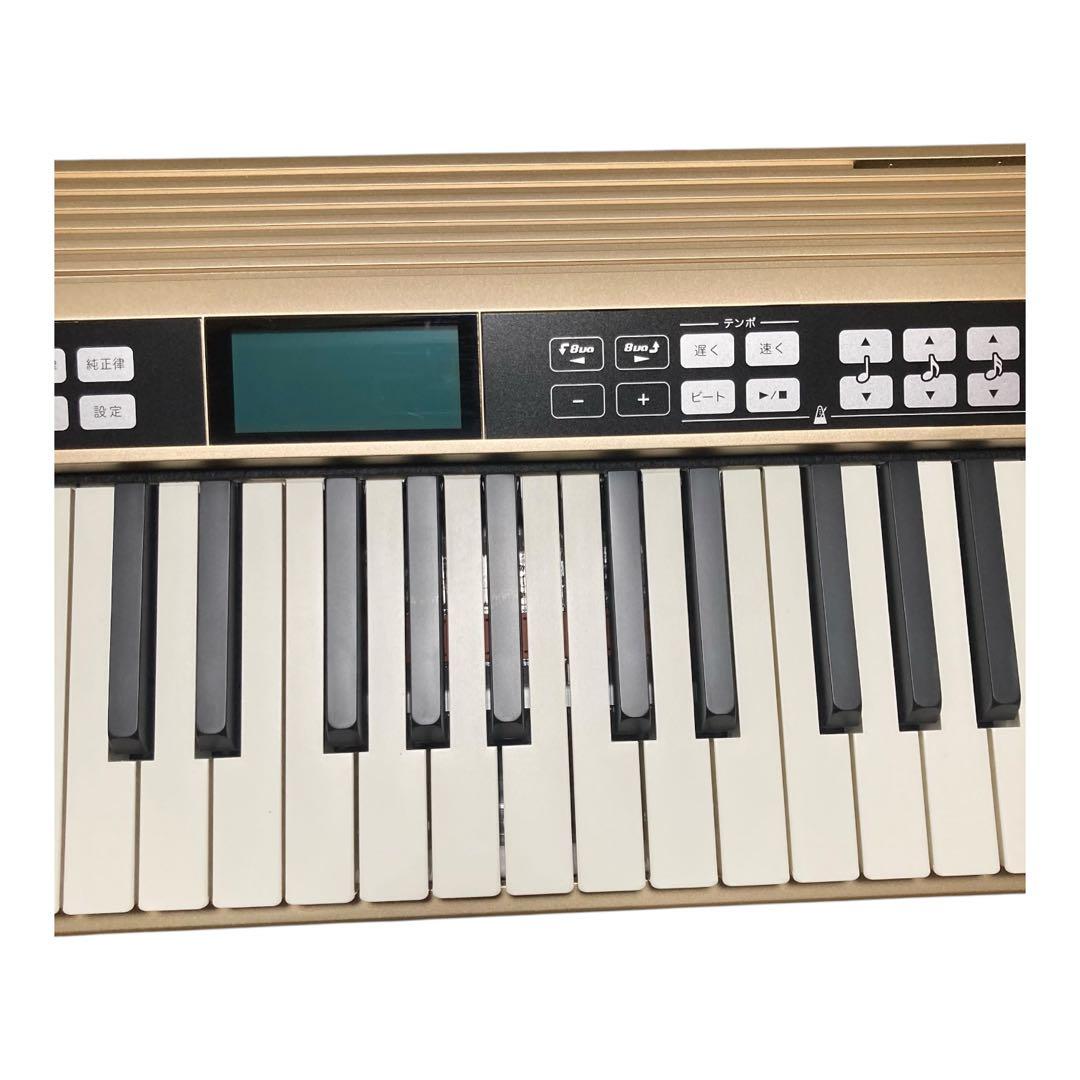 Roland JUSTY HK-100 付属品完備 美品 キーボード