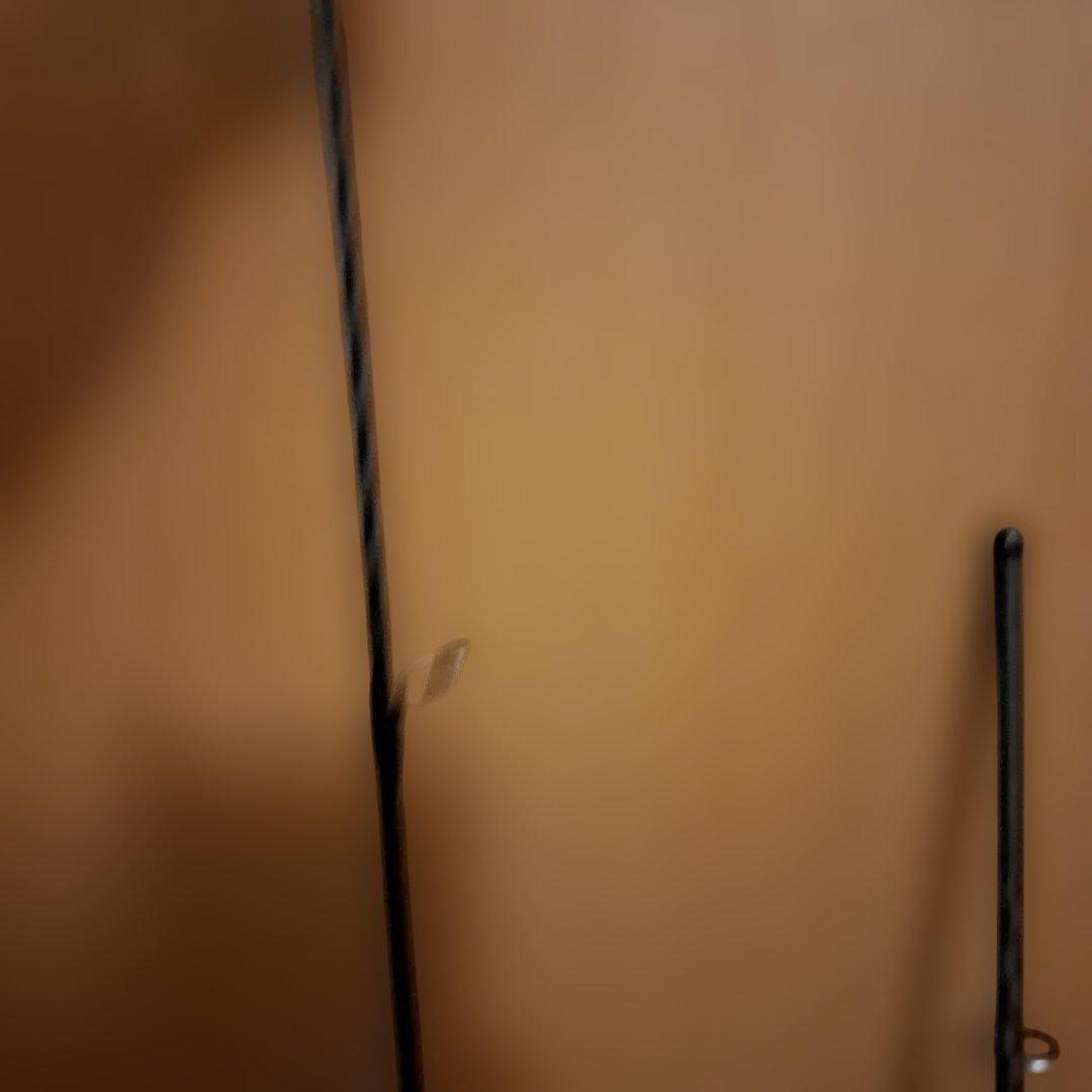 Sephia BB TIP EGING ML 6.6フィート