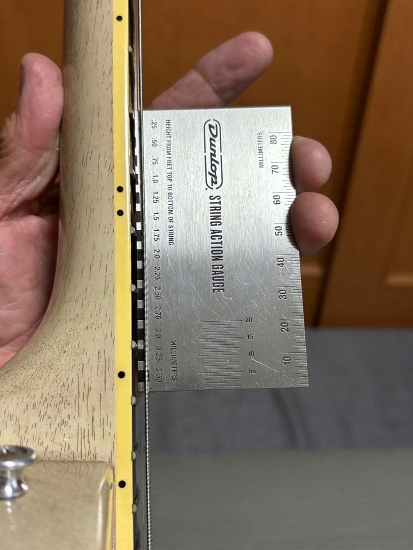 DEVISER別注　レスポールスペシャル