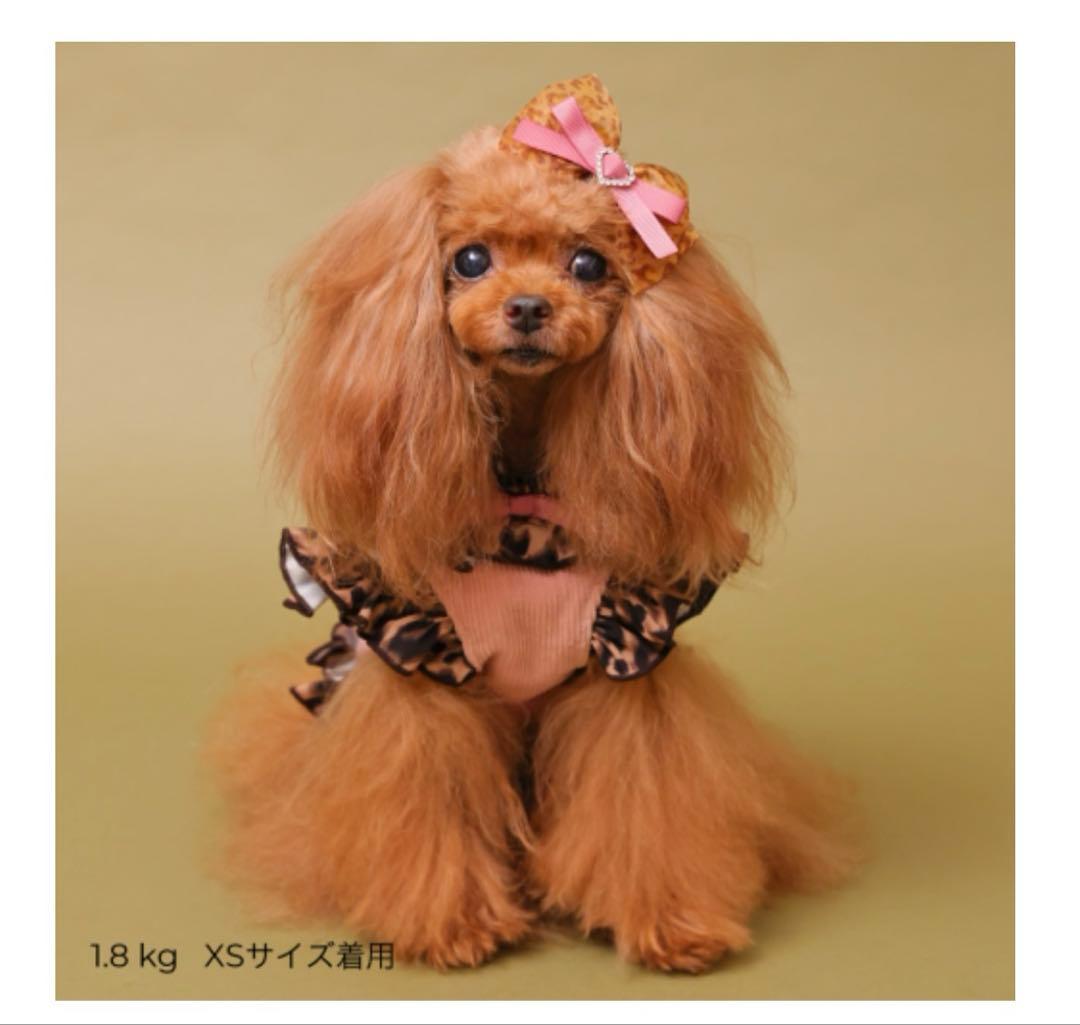 【新品未使用】ゴッドピバ godpivaテラヘルツレオパードハーネス ピンクSM