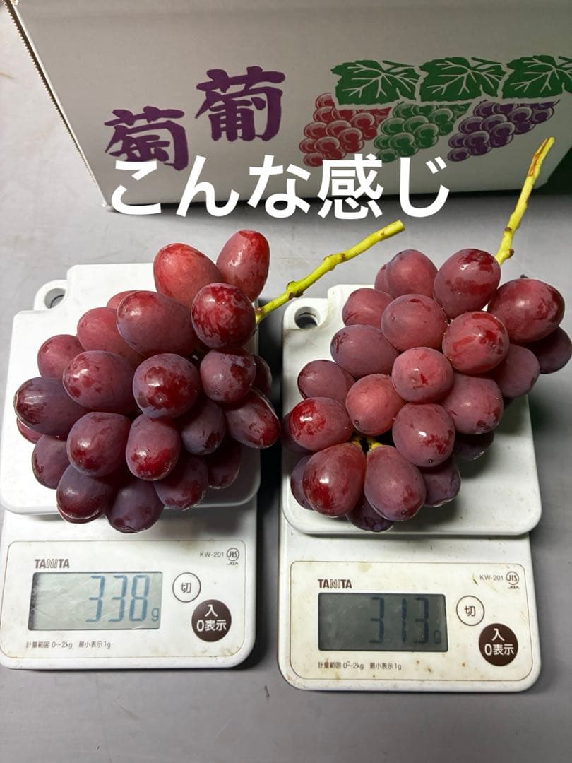 訳あり※前日収穫クイーンルージュ12房※小房あり（約3.8k）本日発送