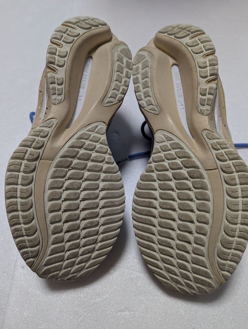 永井博×ミズノ　ウェーブライダー　ベータ