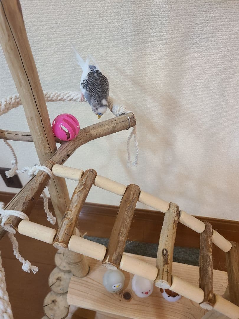 ⑤K25☆プロフ必読☆ページ　バードアスレチック　ハンドメイド