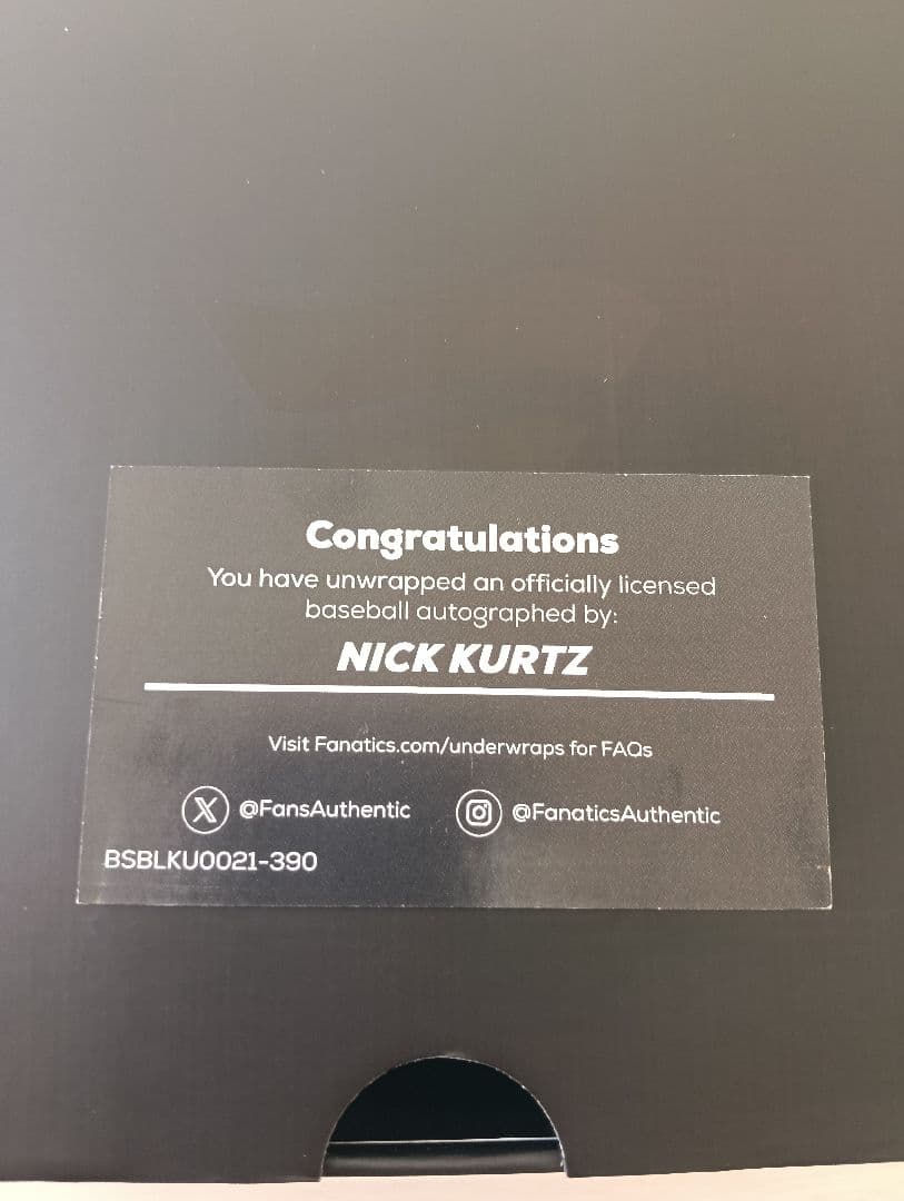【新人王】ニックカーツ NICK Z 直筆サインボール