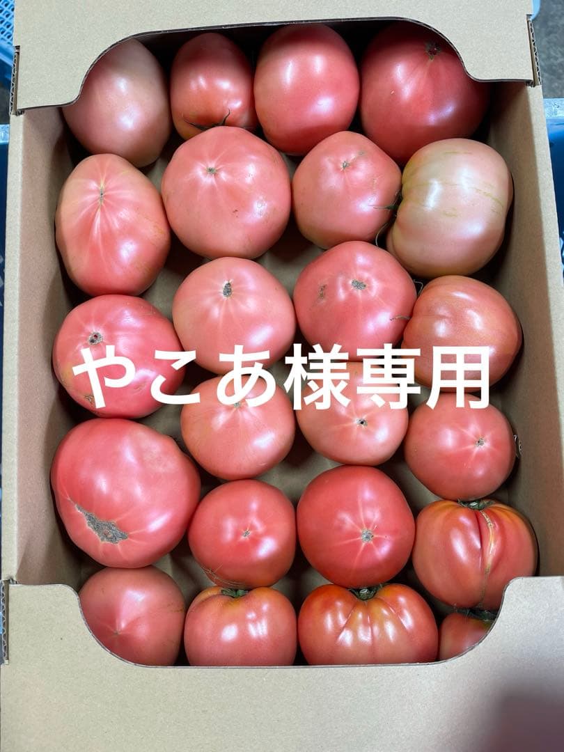 やこあトマト
