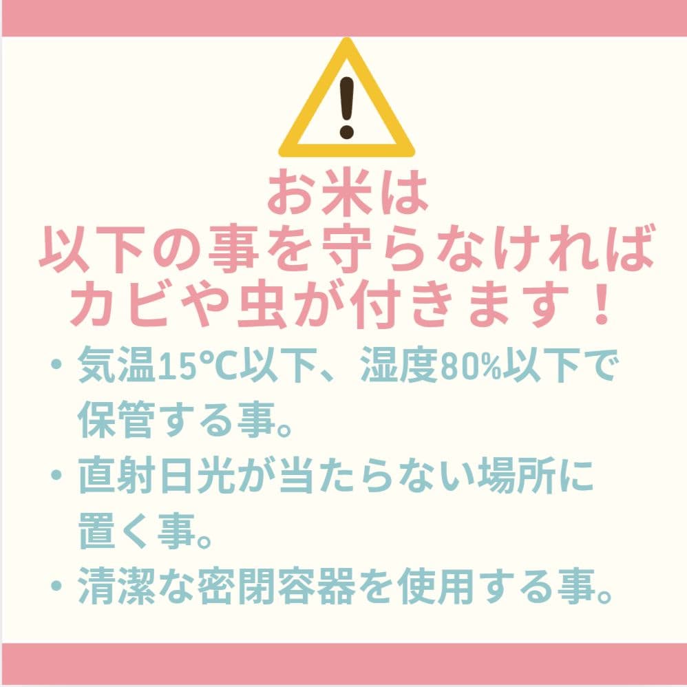もち玄米■ヒメノモチ　10㎏(5kg×2袋)一等米☆農家直送