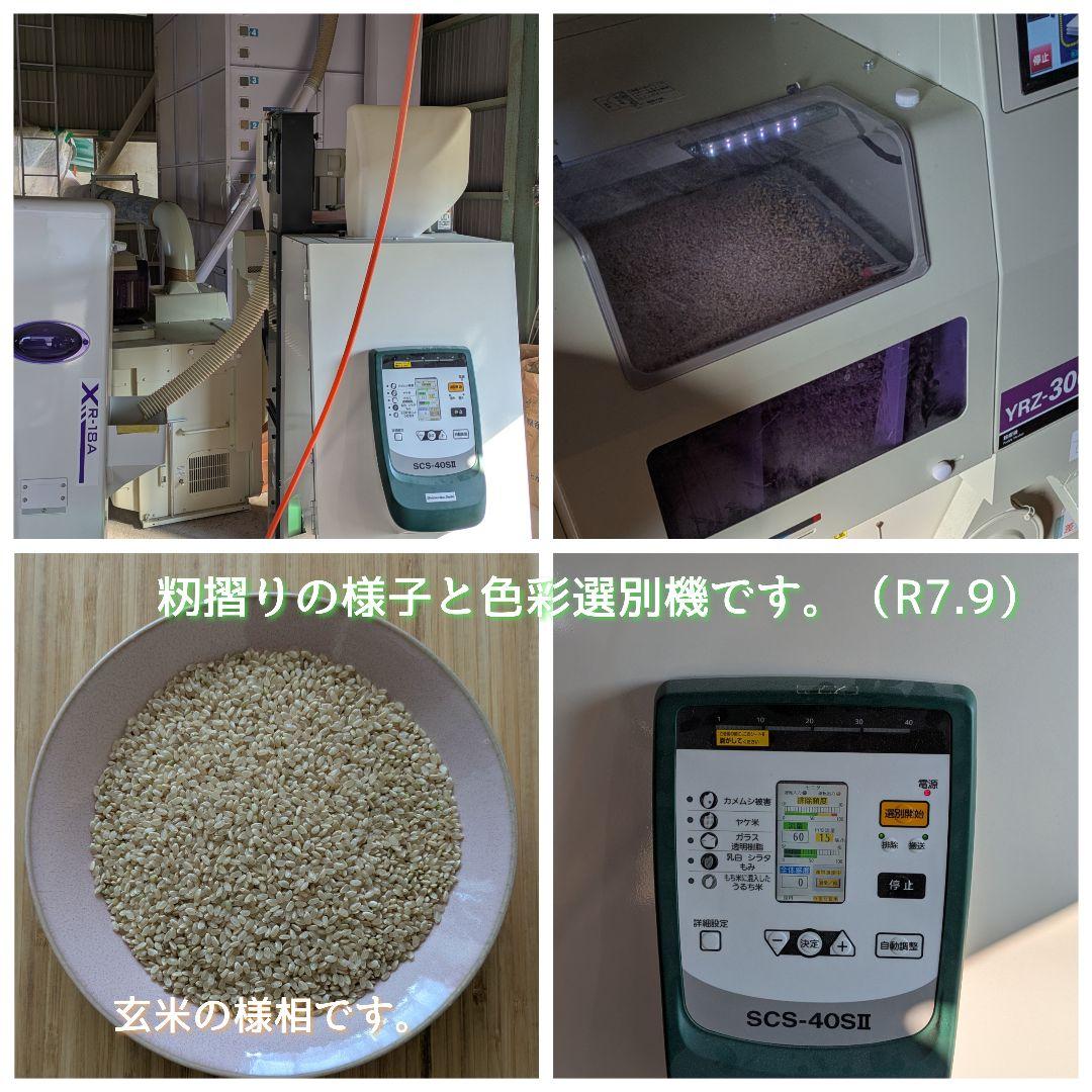 令和7年産三重県伊賀産キヌヒカリ20kg普通精米（5kg×4）