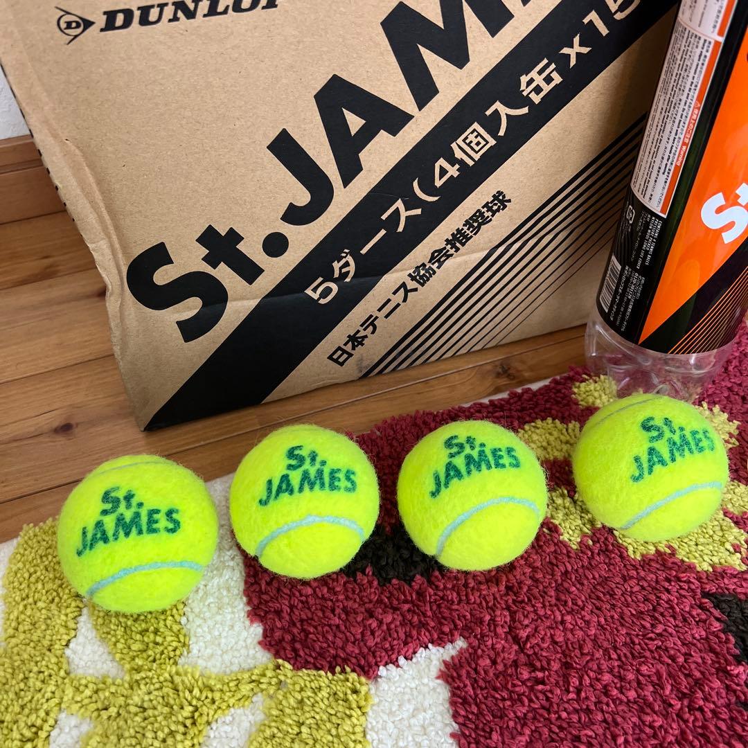 DUNLOP St.JAMES テニスボール 15缶入り