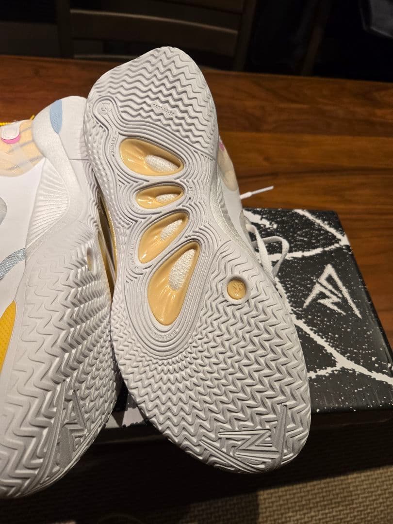 リゴラーAR2「15種類のフレーバー」US10海外限定バスケットボールシューズ