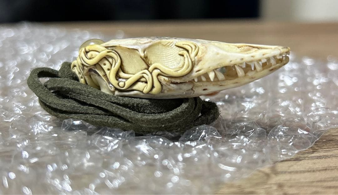 ミドリホソオオトカゲ 頭骨アクセサリー 標本 爬虫類 ネックレス 骨 標本 ヘビ