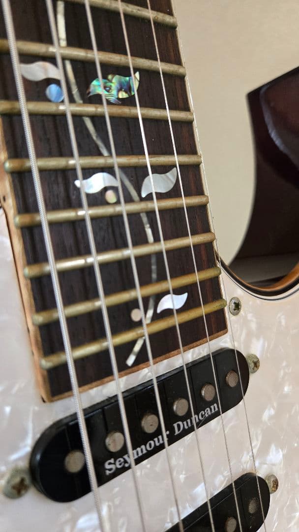 エレキギター　Ibanez8540ZD BX J-custom