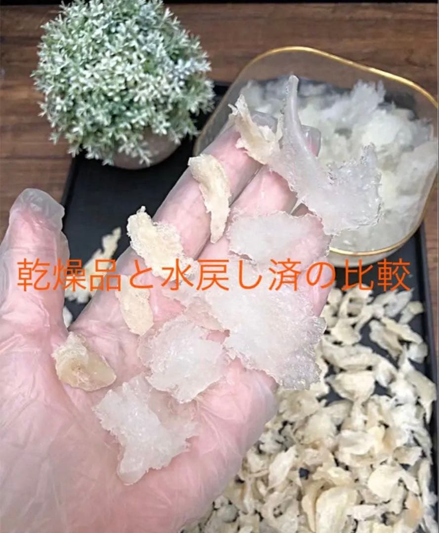 美肌効果♪コスパ高！リピーター様続出❗️天然燕の巣 燕角100g EGF シアル酸