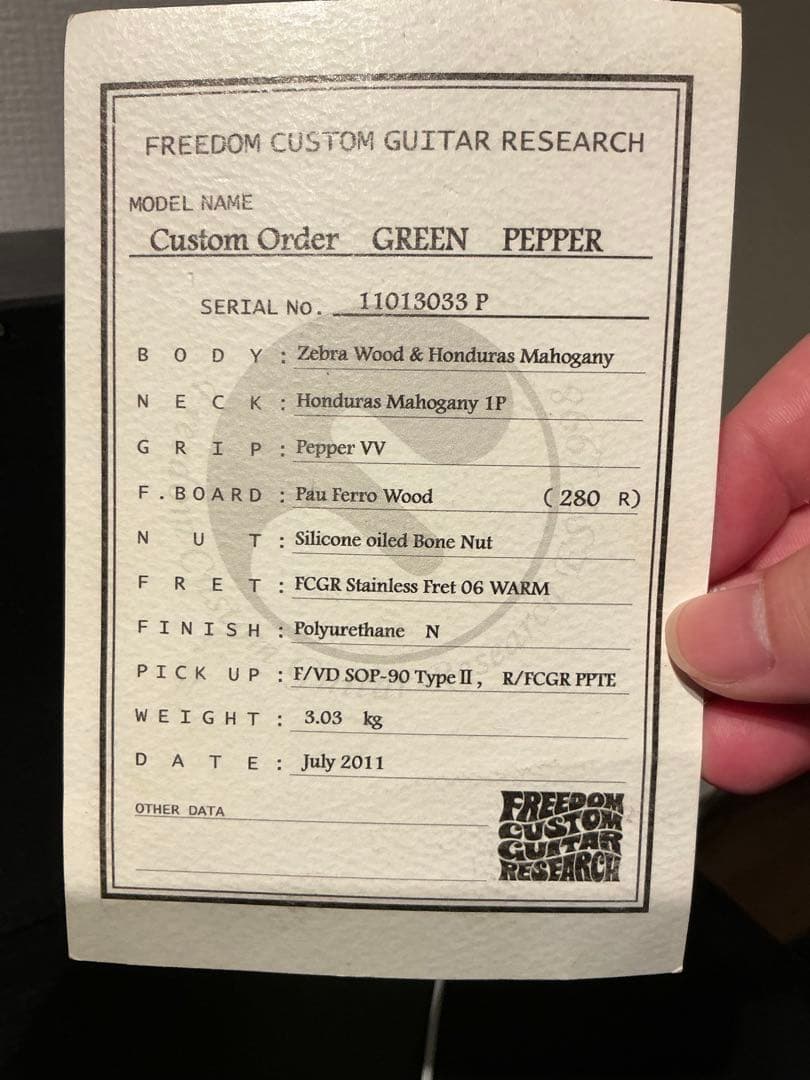 最終値下げ Freedom Custom Guitar Green Pepper