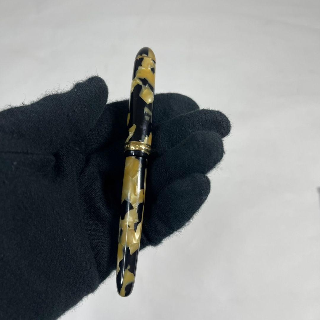 プラチナ 18k 万年筆 3776 セルロイド 石垣柄 中字
