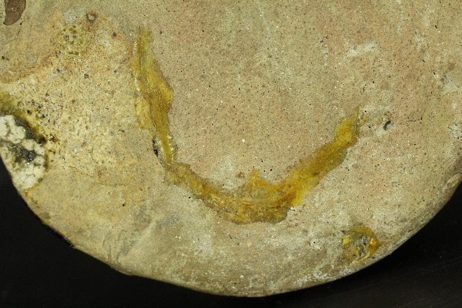 鎌倉期 瀬戸 花瓶(ZE557)