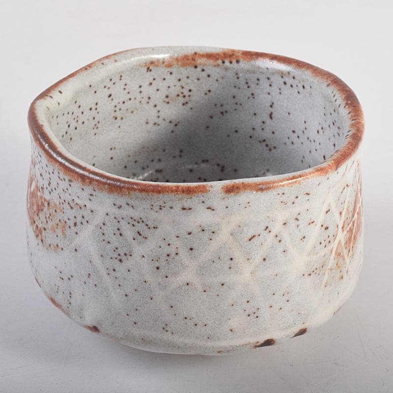 昇　荒川豊蔵　桧垣芦ノ絵鼠志野茶碗　銘朗景即中斎極め箱二重箱　DR8770