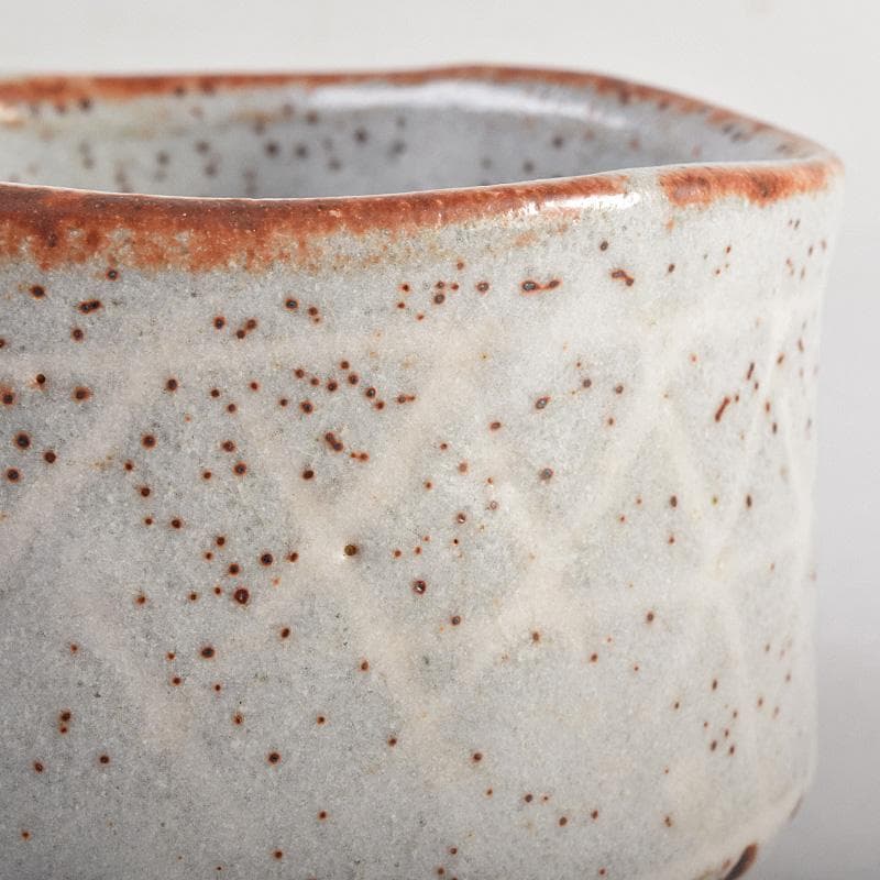 昇　荒川豊蔵　桧垣芦ノ絵鼠志野茶碗　銘朗景即中斎極め箱二重箱　DR8770