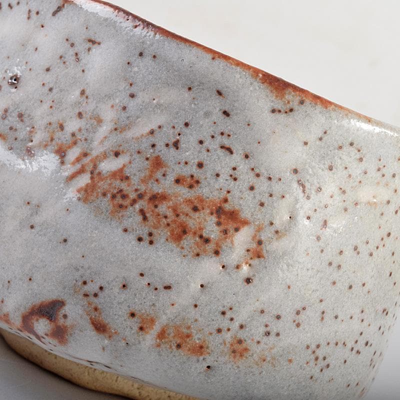 昇　荒川豊蔵　桧垣芦ノ絵鼠志野茶碗　銘朗景即中斎極め箱二重箱　DR8770