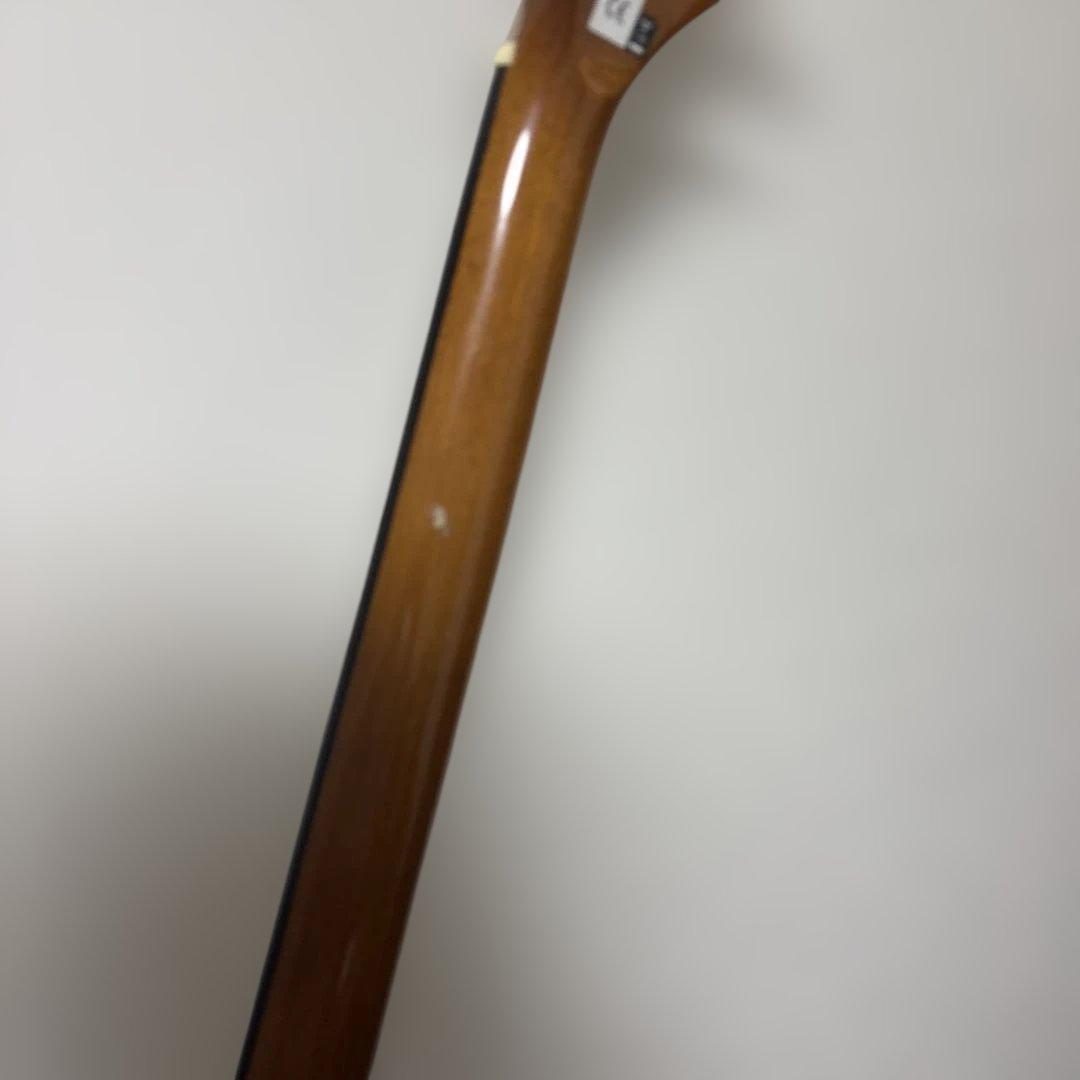 Fender アコースティックベース CB-605CE NAT LR