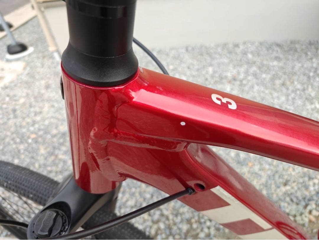 TREK Dual Sport 3 Gen 4（直接引渡し限定）