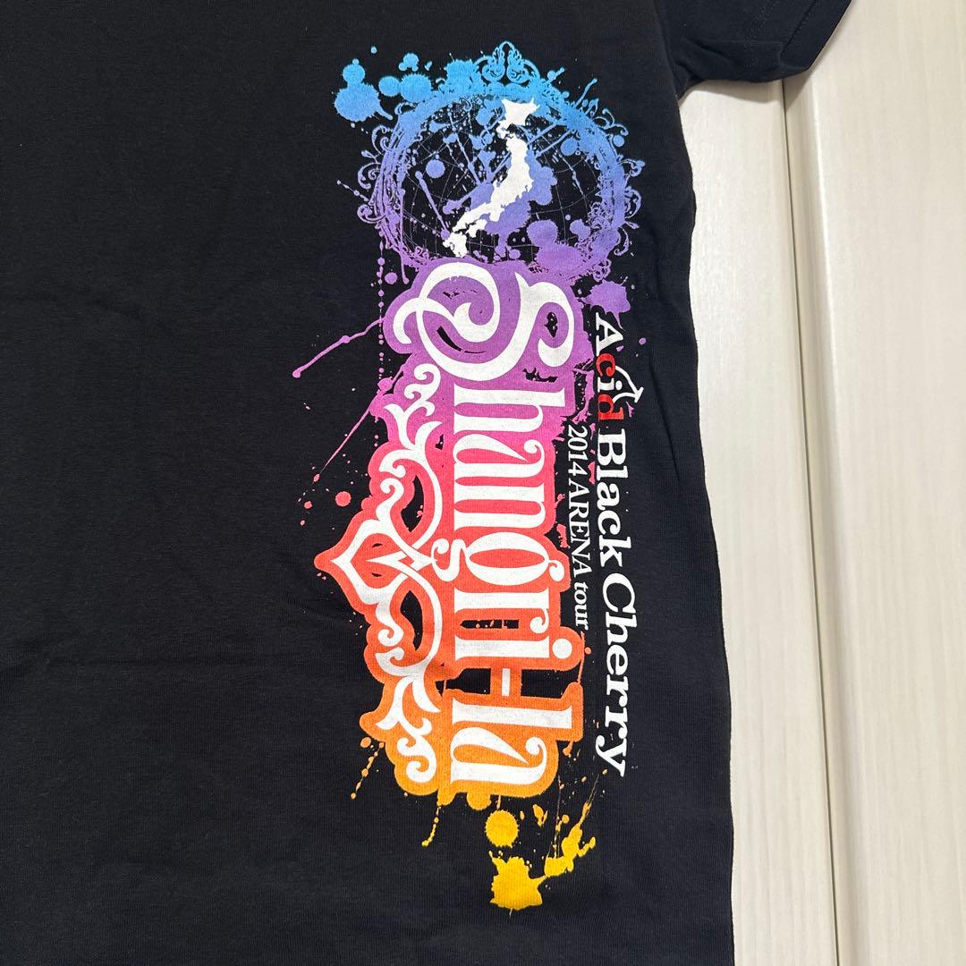 Acid Black CherryメンズМレディース Tシャツ FCタオルセット