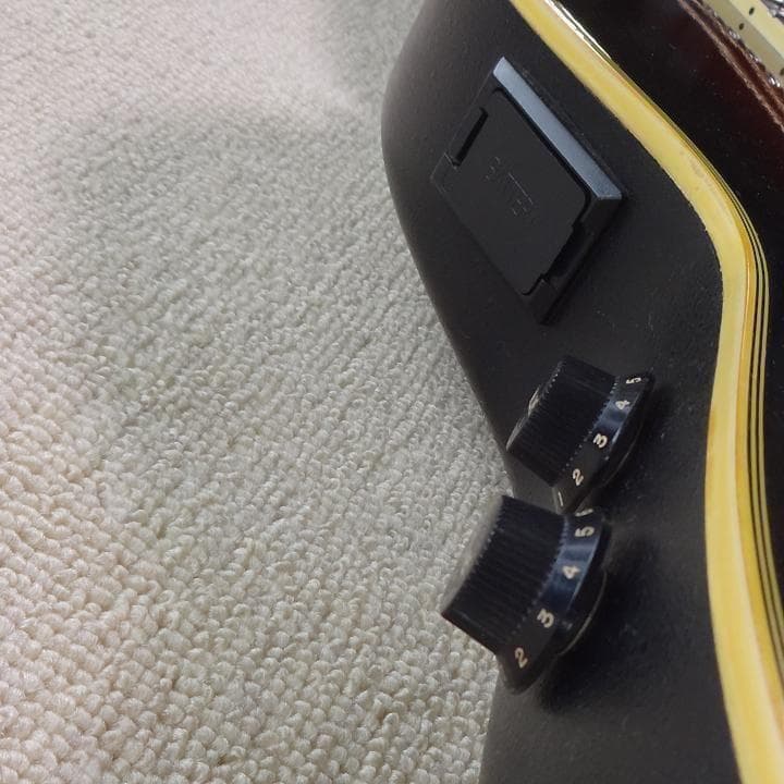 ミニエレアコ morris tornado ZIIII スモールサイズ