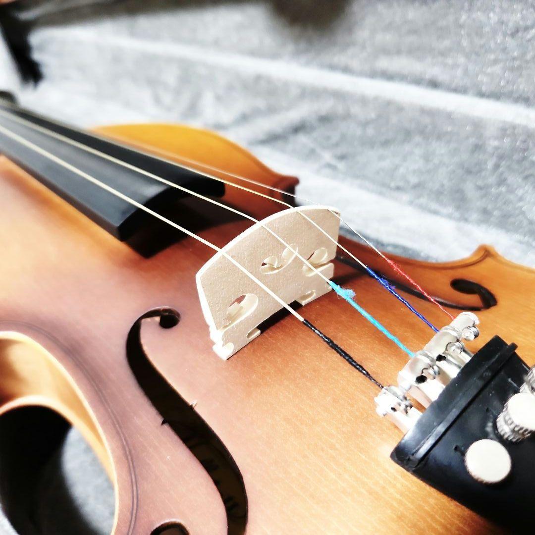 Hallstatt v-12 バイオリン 4/4サイズ ハードケース付き