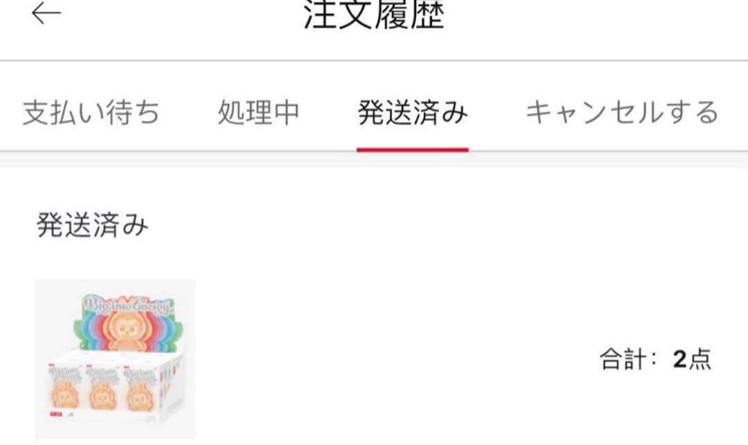 ✨️確実正規品 新品・未開封シュリンク付 ラブブ エナジー アソートボックス