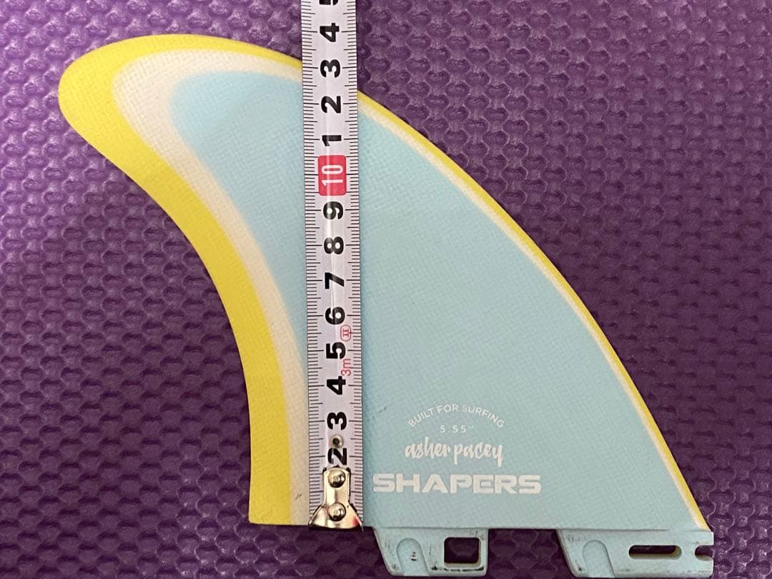 アッシャー・ペイシー fc2 ツインフィン